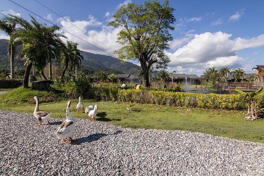 Ruisui Palm Lakes B&B Luaran gambar